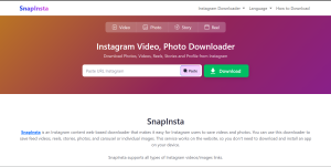SnapInsta: Download Video IG dengan Resolusi Full HD