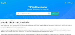 Download Tiktok Video Without Watermark